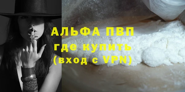 дмт Пересвет