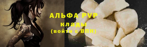 дмт Пересвет