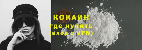 дмт Пересвет