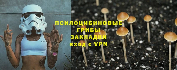 стафф Пестово