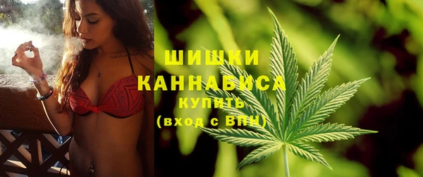 дмт Пересвет