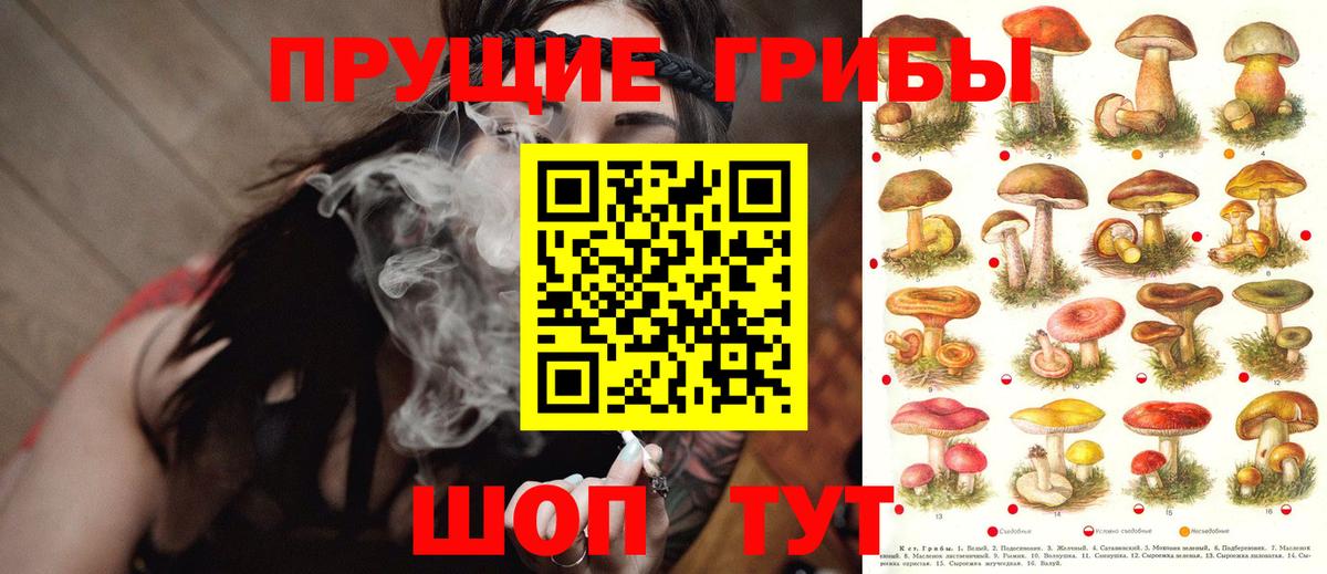 Таганрог  Псилоцибиновые грибы мицелий  Вход с VPN 