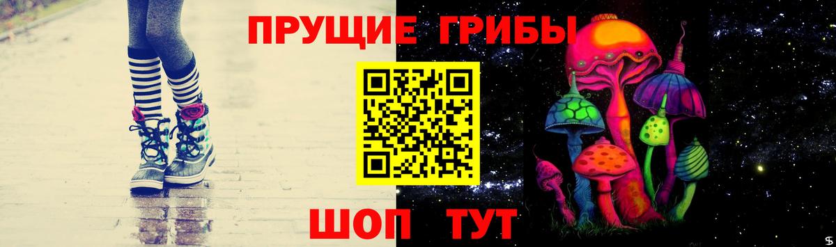 Галлюциногенные грибы Psilocybine cubensis Таганрог